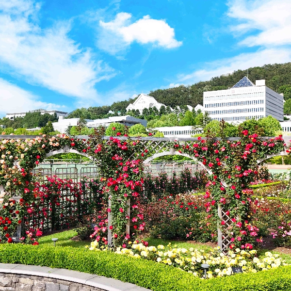 장미원(3) 대표이미지
