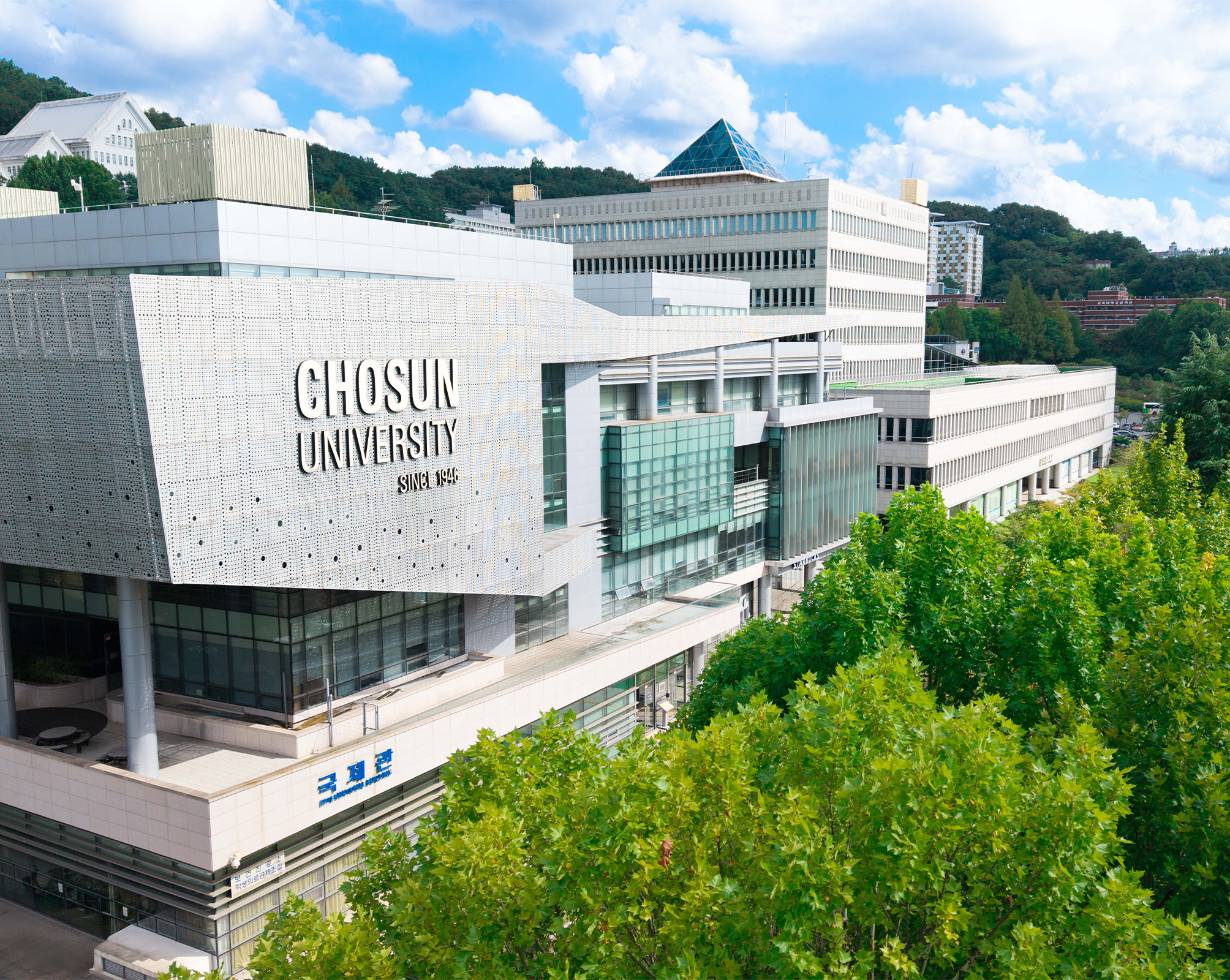 글로벌학부 대표이미지